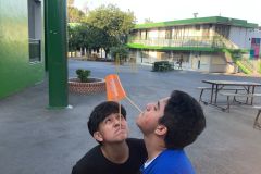 IMG-20250613-WA0017