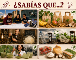 260605sabiasque